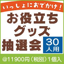 ���ä���ˤ��Ǥ���������Ω�����å�������30����