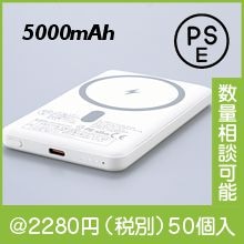 �ޥ��ͥåȼ��磻��쥹�Хåƥ꡼5000�ʥޥ��ͥåȥ���դ���