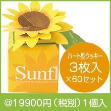 �Ҥޤ��ܥå���60�ĥ��å�