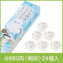 ����椭���ޥ��ʥ� �̳�ƻ�쥢������������6����