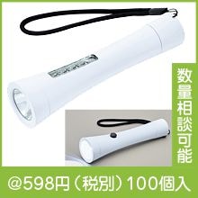 �ޥ��ͥå��դ�2WAY�饤��