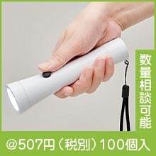 �ޥ��ͥå��դ�2WAY�饤��