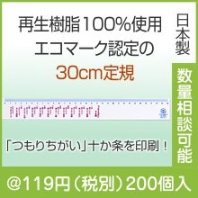 エコ・直定規30 つもりちがい十か条|100円〜199円|予算で選ぶ
