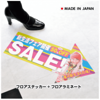 10�İʾ塡�ե������ƥå������ե륫�顼�����ܥ�ߥ͡���