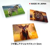 �ե�̵���������ޥ��ͥåȡ�5mm��