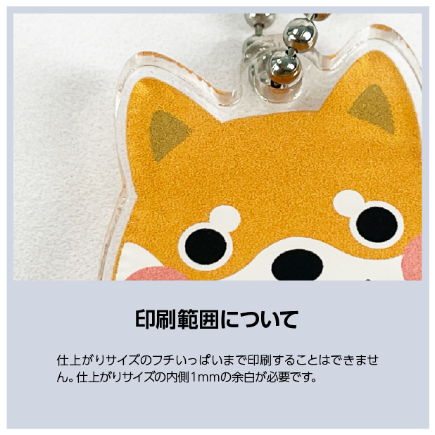 �������饢����륭���ۥ������3���������ե륫�顼����+���������ꥢ����