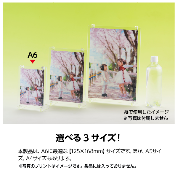 Ʃեȥե졼[A6] ƥ襳