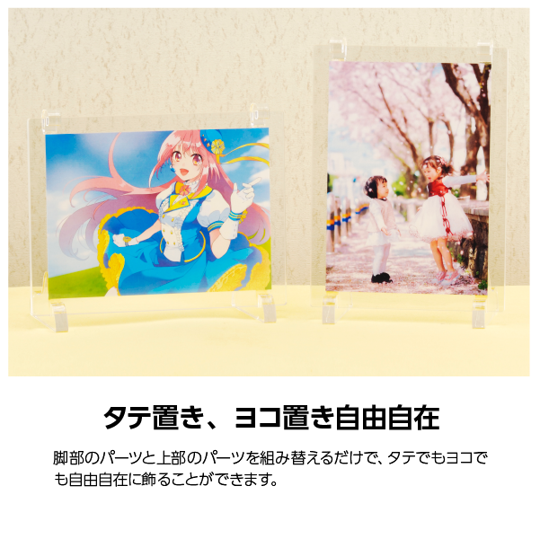 Ʃեȥե졼[A6] ƥ襳