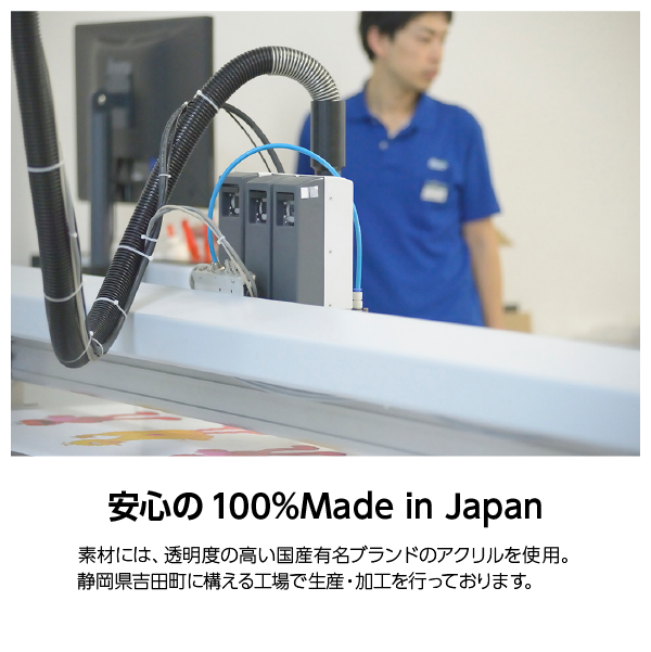 Ʃեȥե졼[A6] ƥ襳