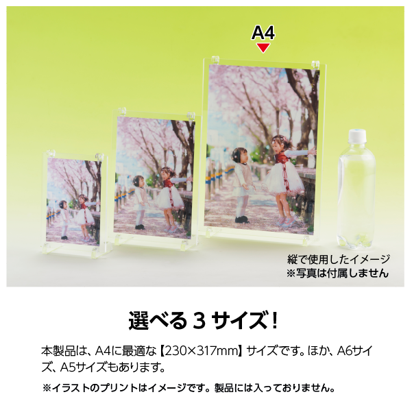 Ʃեȥե졼[A4] ƥ襳