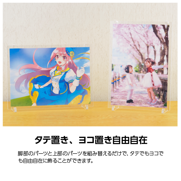 Ʃեȥե졼[A4] ƥ襳