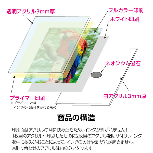 륢ȥޥͥåȡ6mmե륫顼