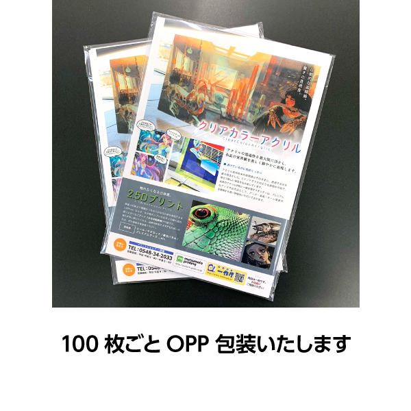 �����åȡ����饷�������ե륫�顼