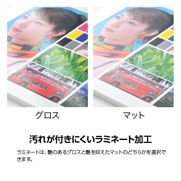 17Ĥܡ7mmե륫顼ξ̥ߥ͡