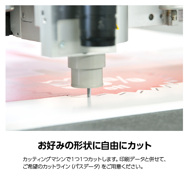 ѥͥ롡ե륫顼ܥߥ͡+­դ