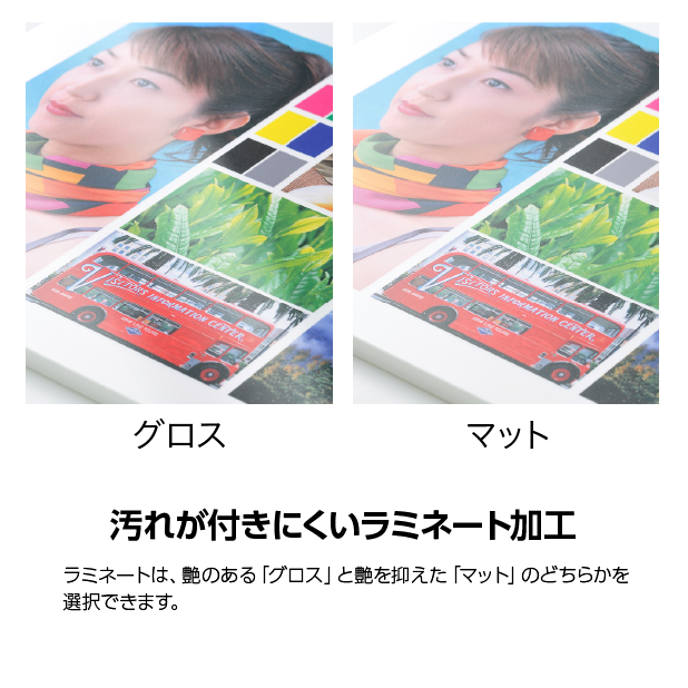 ѥͥ롡ե륫顼ܥߥ͡+­դ