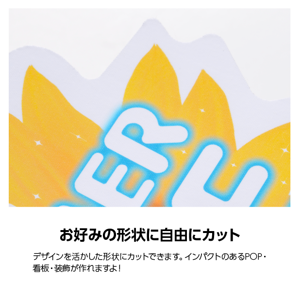 1��10�ġ��������륹�ƥå������ե륫�顼����