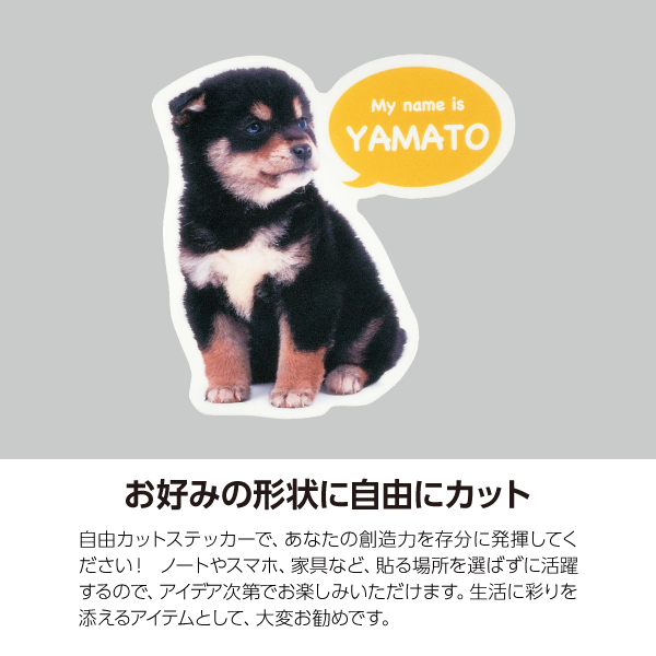 �ۥ�����ॹ�ƥå����ʥ⥶�������ˡ�84��54mm����