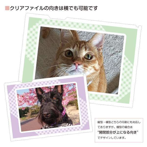 λҿ䤷襯ꥢե륻åȡҥå