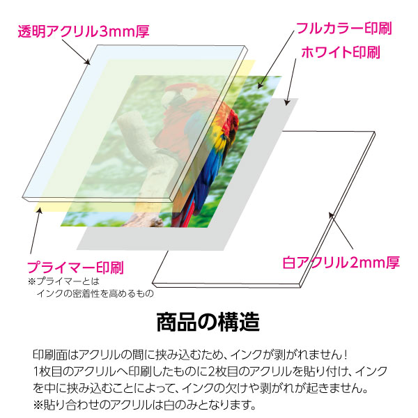 �ե�̵���������ޥ��ͥåȡ�5mm��