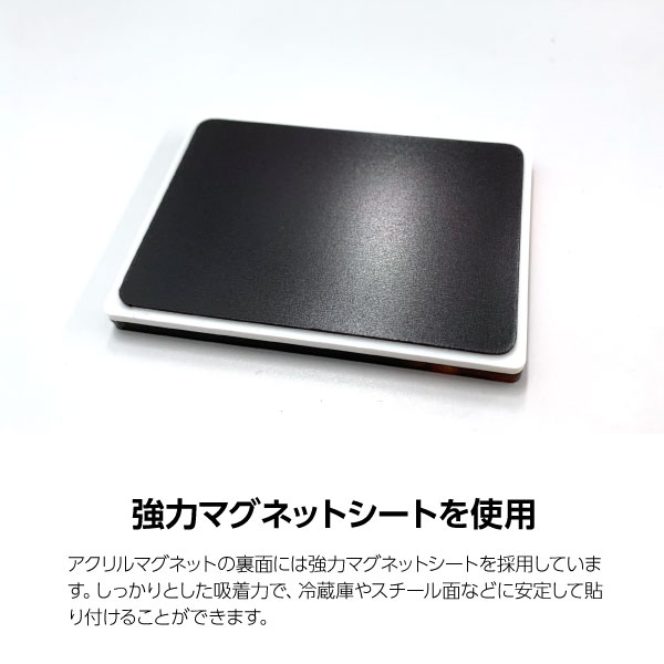 �ե�̵���������ޥ��ͥåȡ�5mm��