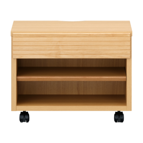 ISSEIKI PURE PRINTER CART 50 H38 (AL-NA)