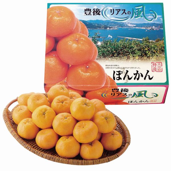 リアスの風　ぽんかん（お届け期間にご注意ください）