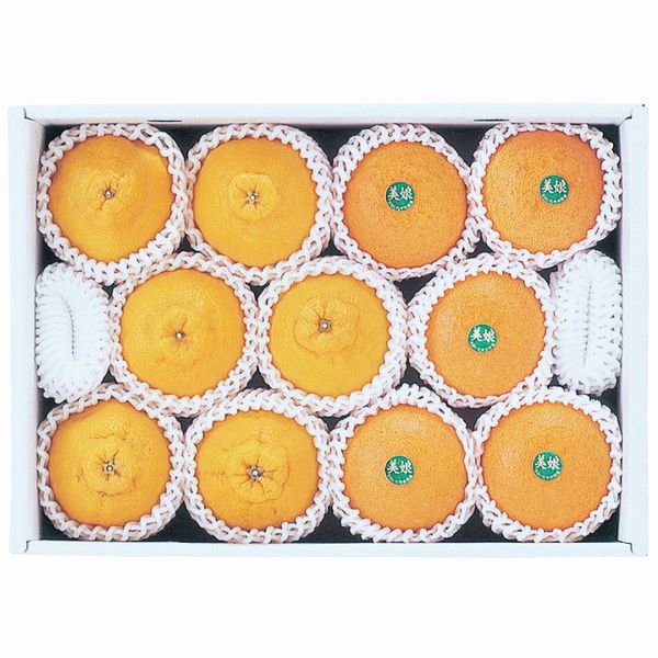 ��ʬ���� �ϥ�������̤��ǥ��ݥ�����ۻ� ��̼�ʤߤ��ˡʤ��Ϥ����֤ˤ����դ���������