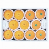 ´ ϥ̤ǥݥۻ ̼ʤߤˡʤϤ֤ˤդ