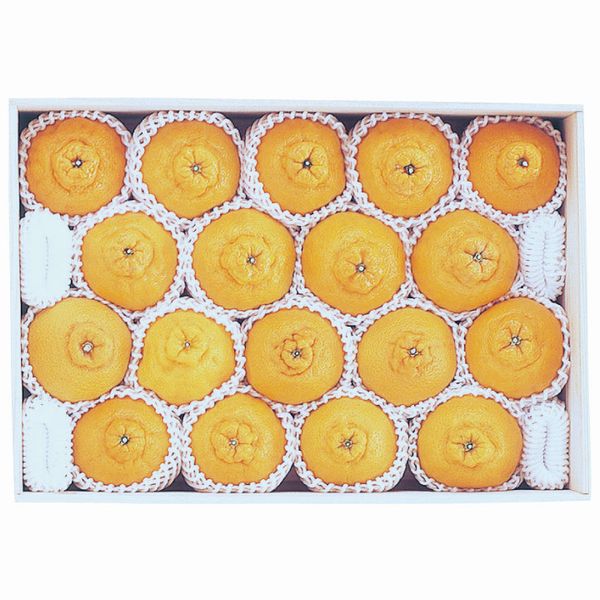 ´ ϥ̤ǥݥʤϤ֤ˤդ