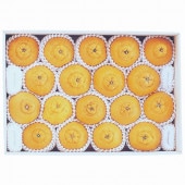 ´ ϥ̤ǥݥʤϤ֤ˤդ