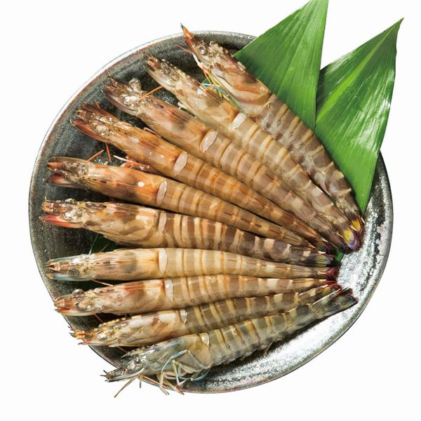 ����ʪ�����ֶˡ�����ֳ�Ϸ