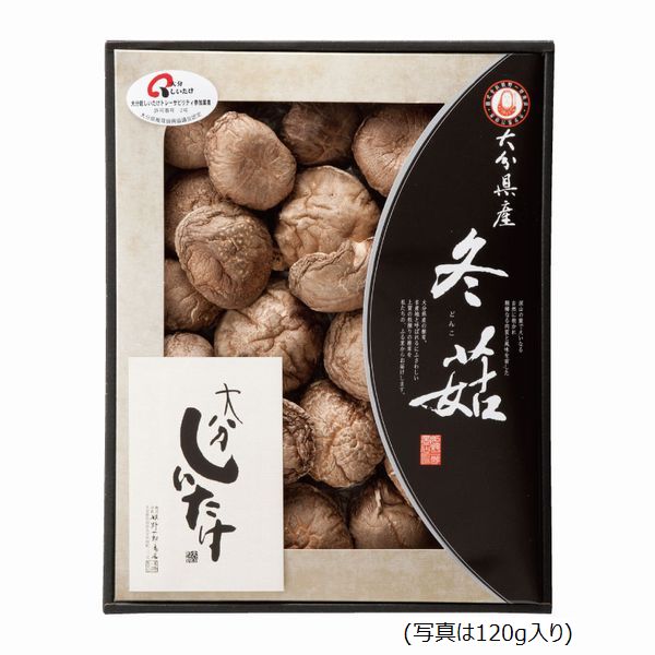 ���� ɱ���Ϻ��Ź����ʬ�������� ����