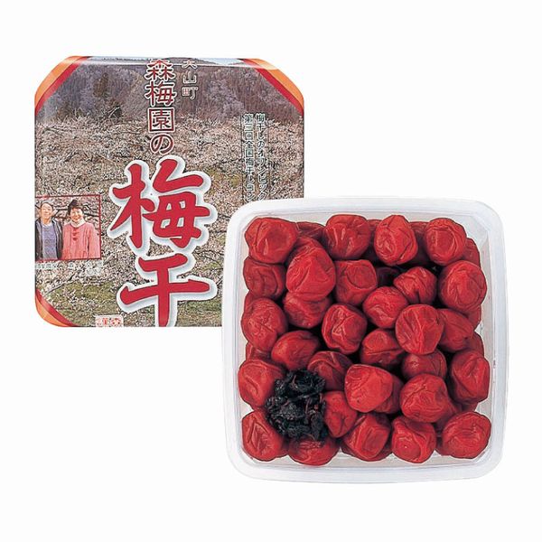 森梅園の大梅