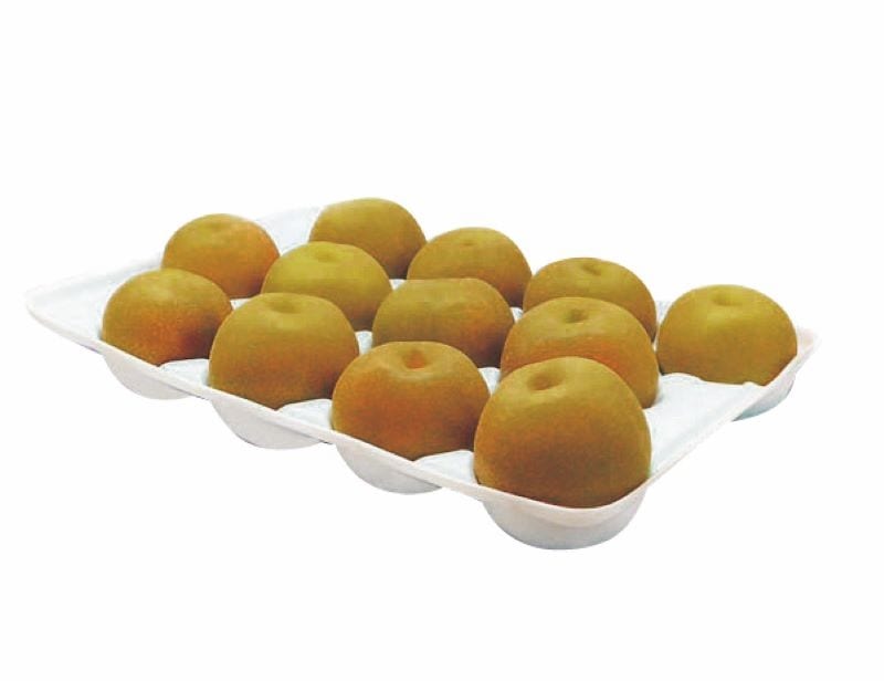 カネイシ農園の梨 幸水5Kg（お届け期間にご注意ください） | おおいた