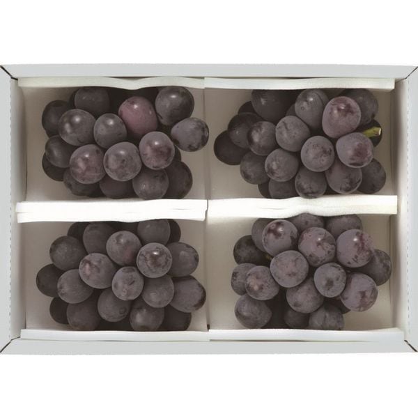 �¿������˥塼�ԥ����͡ʤ��Ϥ����֤ˤ����դ���������