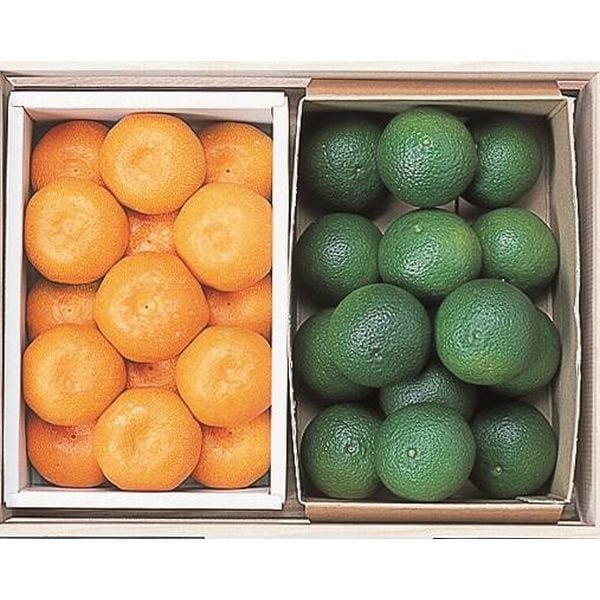 ���Ĥ����ϥ����ߤ�����ϥ������ܤ��ʤ��Ϥ����֤ˤ����դ���������