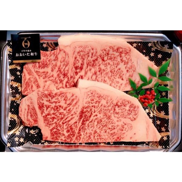 にくの蔵 焼肉 銀山亭　おおいた和牛サーロイン2枚（500ｇ）