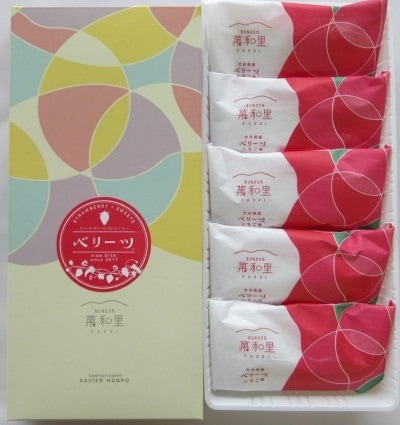 ざびえる本舗　BUNGO 乃　菓和里（5個）