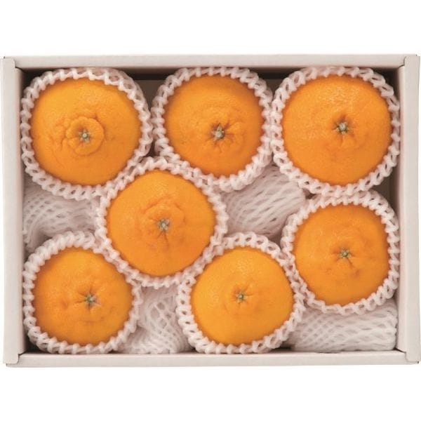 ��ʬ���� �ϥ�������̤��ǥ��ݥ���2Kg�ʤ��Ϥ����֤ˤ����դ���������