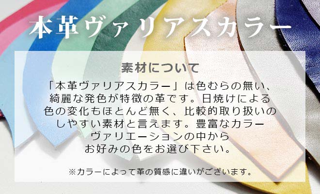 システム手帳 【変形型バイブルサイズ】【ヴァリアスカラー