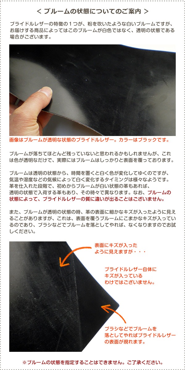 【ベルト付き】システム手帳 【変形型バイブルサイズ】【ブライドルレザー】本革 フランクリンプランナー （コンパクトサイズ）対応 6穴バインダー /日本製