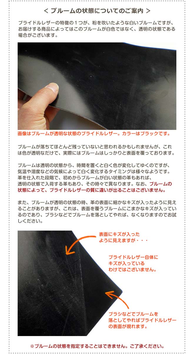 【ベルト付き】システム手帳 A5サイズ 【ブライドルレザー＆素ヌメ革】 本革 6穴 バインダー 日本製