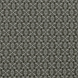 Optic Noir (3494-06)