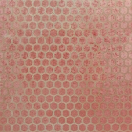 MANIPUR Coral (FDG2832/15)