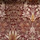 Snakeshead Velvet Crimson/Saffron (236935)