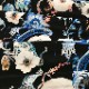 Euphoria Velvet Cobalt (8009/02)