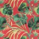 Monkey Business rouge (F0998-04)