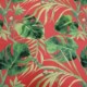 Monkey Business rouge (F0998-04)