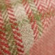 Fen Plaid tomato (F4636-04)